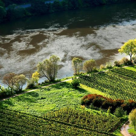 Weingut Helmut Barzen Διαμέρισμα Zell an der Mosel Εξωτερικό φωτογραφία