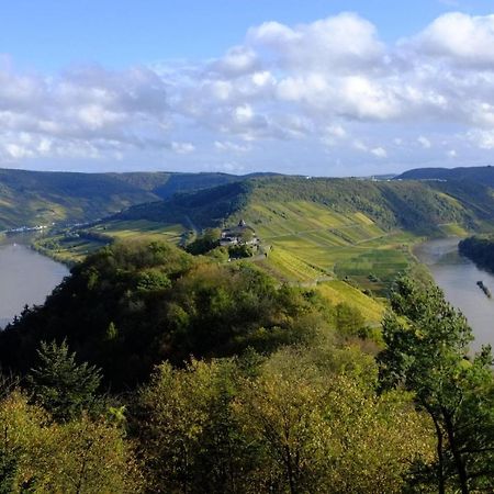 Weingut Helmut Barzen Διαμέρισμα Zell an der Mosel Εξωτερικό φωτογραφία