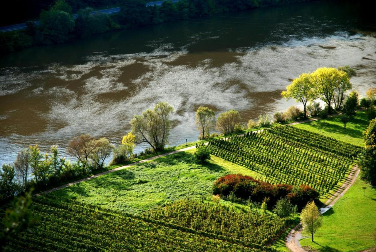 Weingut Helmut Barzen Διαμέρισμα Zell an der Mosel Εξωτερικό φωτογραφία