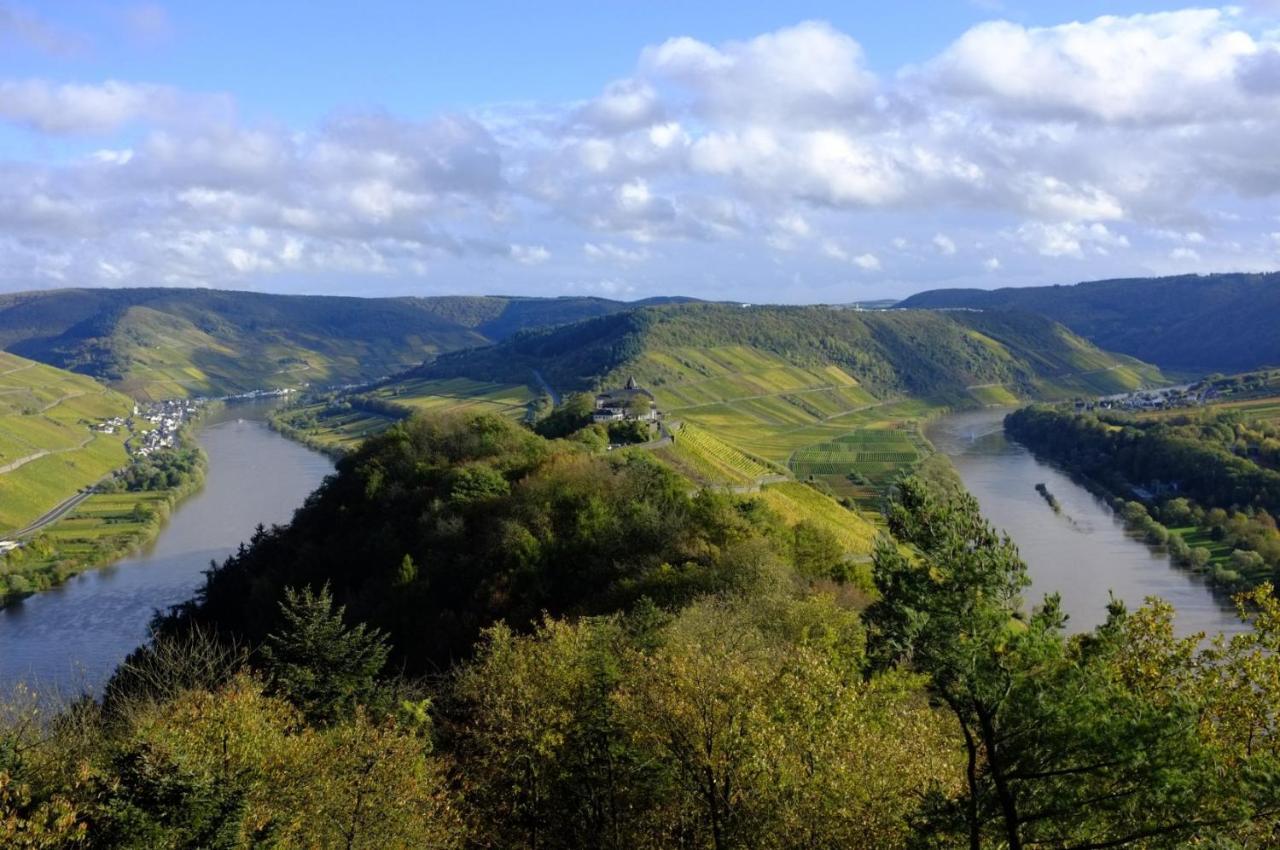 Weingut Helmut Barzen Διαμέρισμα Zell an der Mosel Εξωτερικό φωτογραφία